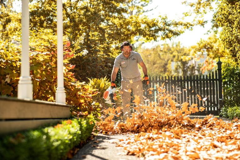 Stihl Blower