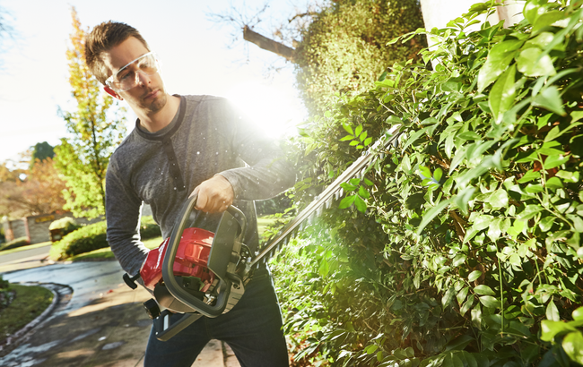 Guy using a hedge trimmer