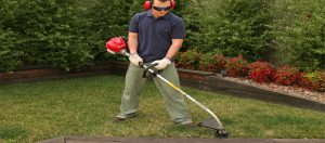 honda brushcutter